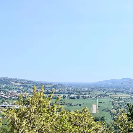 Civico 19